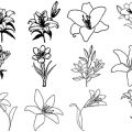 Formes Fleurs de lys (4)