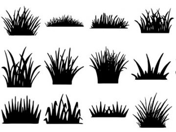 Formes Herbe (2)