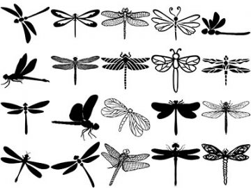 Formes Libellules (2) Formes Libellules (2)