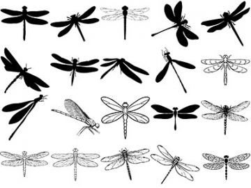 Formes Libellules (4) Formes Libellules (4)