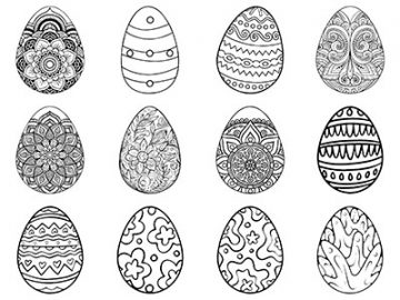 Formes : Oeufs (1) Formes Oeufs (1)