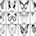 Pinceaux Papillons (01)