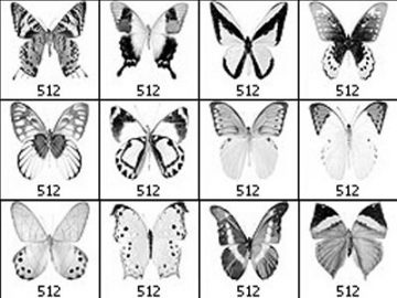 Pinceaux : Papillons (1) Pinceaux Papillons (01)