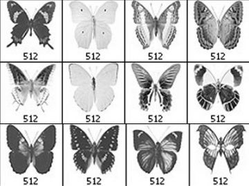 Pinceaux : Papillons (2) Pinceaux Papillons (02)