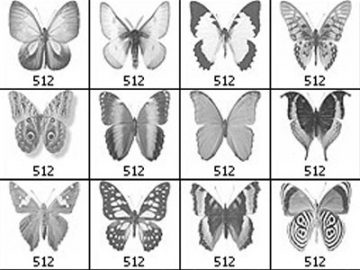 Pinceaux : Papillons (3) Pinceaux Papillons (03)