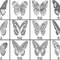 Pinceaux Papillons (04)