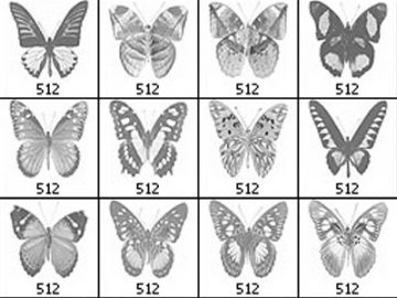 Pinceaux : Papillons (4) Pinceaux Papillons (04)