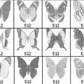 Pinceaux Papillons (05)