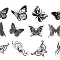 Pinceaux Papillons (06)