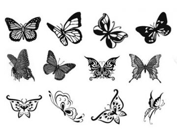 Pinceaux : Papillons (6) Pinceaux Papillons (06)
