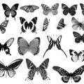 Pinceaux Papillons (07)