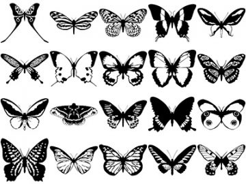 Formes : Papillons (10) Formes Papillons (10)