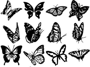 Formes : Papillons (3) Formes Papillons (3)