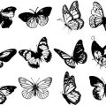 Formes Papillons (4)