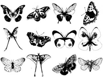 Formes Papillons (5)