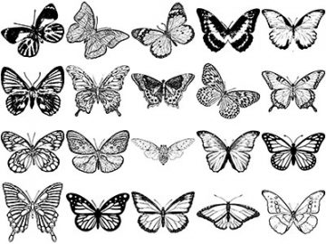 Formes : Papillons (6) Formes Papillons (6)