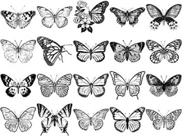 Formes : Papillons (7) Formes Papillons (7)