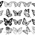 Formes Papillons (8)