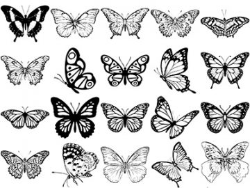 Formes : Papillons (8) Formes Papillons (8)