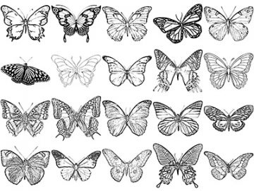 Formes : Papillons (9) Formes Papillons (9)