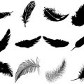 Formes Plumes (2)