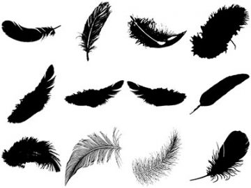Formes : Plumes (2) Formes Plumes (2)
