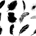 Formes Plumes (4)