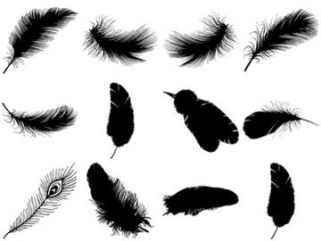 Formes : Plumes (5) Formes Plumes (5)