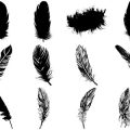 Formes Plumes (6)
