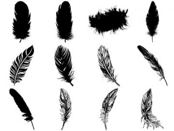 Formes ; Plumes (6) Formes Plumes (6)
