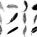 Formes Plumes (7)