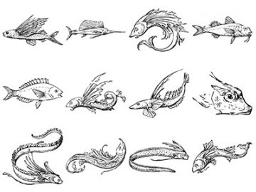 Formes Poissons (6)