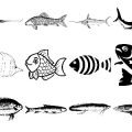 Formes Poissons (7)
