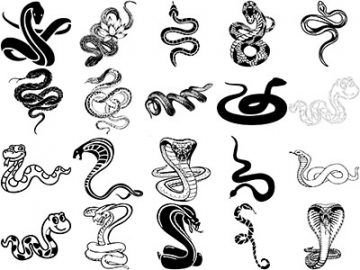 Formes : Serpents (1) Formes Serpents (1)