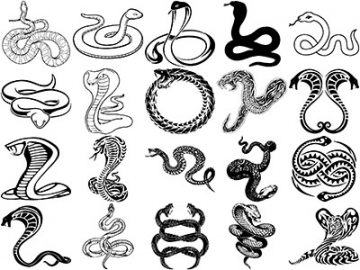 Formes : Serpents (2) Formes Serpents (2)