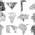 Formes Vigne (1)