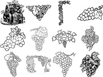 Formes : Vigne (1) Formes Vigne (1)