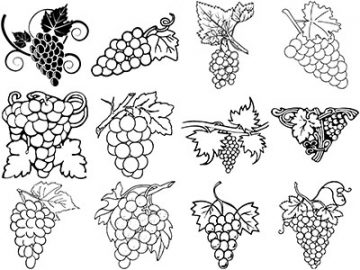 Formes : Vigne (2) Formes Vigne (2)