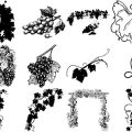 Formes Vigne (3)