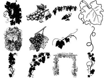 Formes : Vigne (3) Formes Vigne (3)