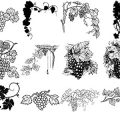 Formes Vigne (4)
