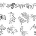 Formes Vigne (5)