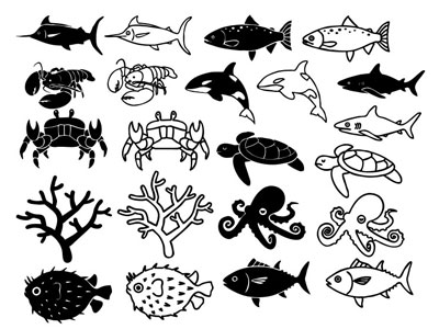 Formes Animaux marins (05)