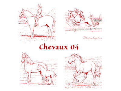 Formes personnalisées Chevaux (04)