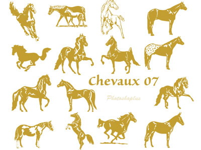 Formes personnalisées Chevaux (07)