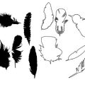 Formes Plumes (01)