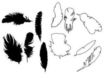 Formes Plumes (01)