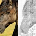 Image ASCII-Art avec un plugin