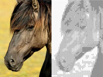 Image ASCII-Art avec un plugin Image ASCII-Art avec un plugin
