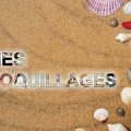 Intégrer une image dans un texte